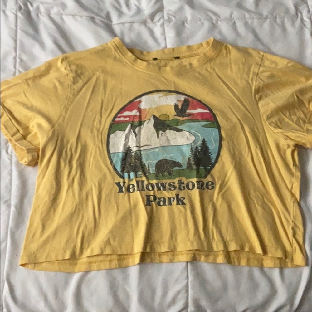 Yellowstone Crop Top